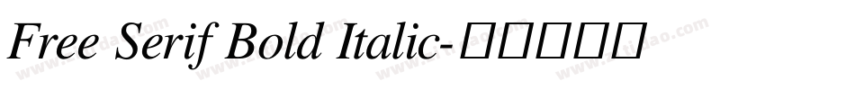 Free Serif Bold Italic字体转换